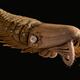 Illustration for article titled The bizarre life forms that cannot be categorized